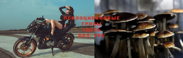 спайс Аркадак