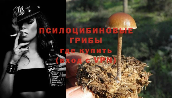 винт Армянск
