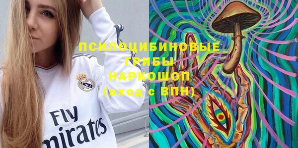 винт Армянск